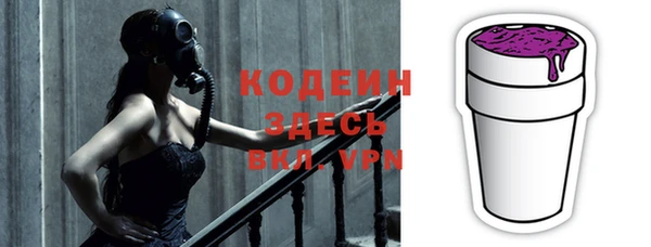 хмурый Вяземский