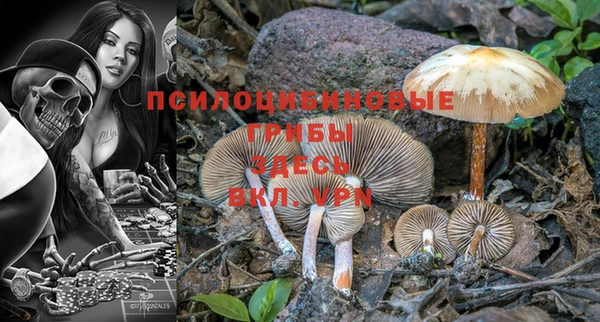 гидра Вязники