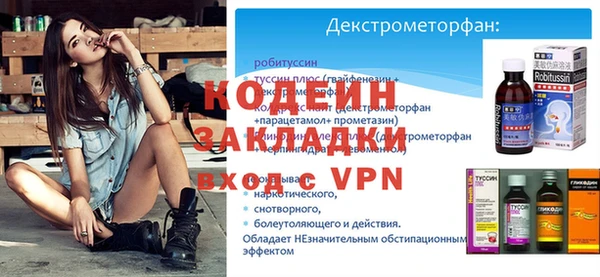 хмурый Вяземский