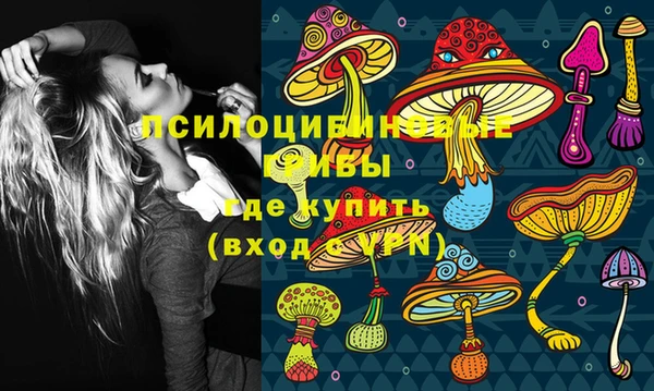 гидра Вязники