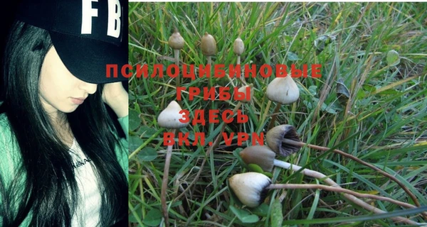 хмурый Вяземский